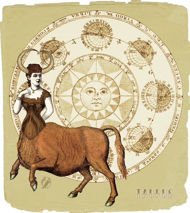 Taurus