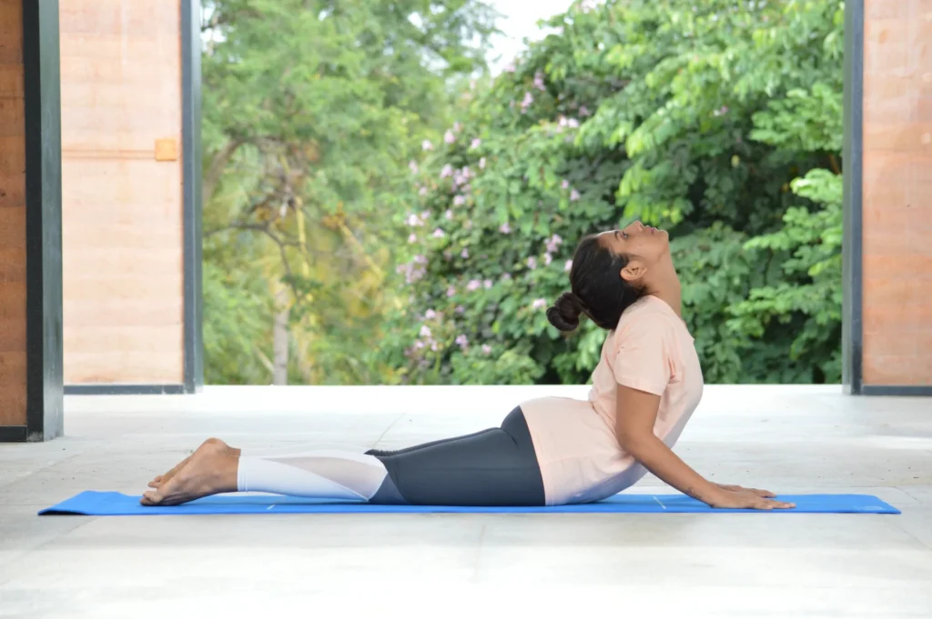 bujangasana