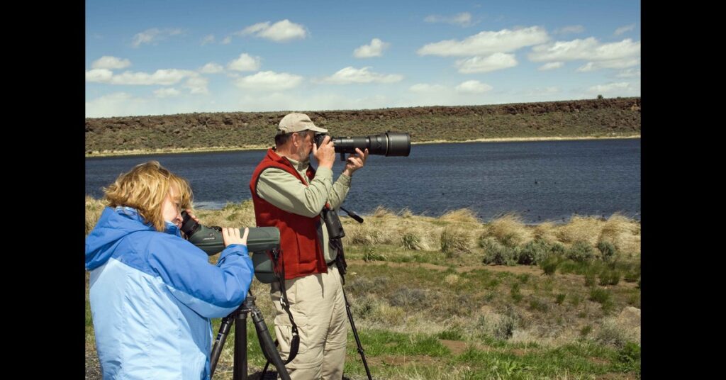 photographers enjoy a day of wildlife viewing